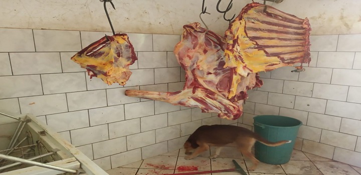 açougue em Campos, no Norte Fluminense, foi interditado, na manhã desta quinta-feira (4),