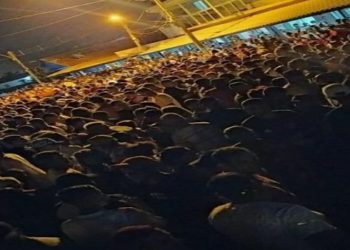 Aglomeracao carnaval guaxindiba