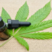 Cannabis tratamento de Covid-19