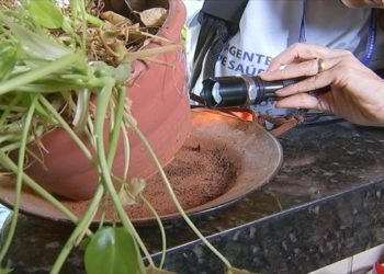 Imóveis focos de aedes aegypti campos rj