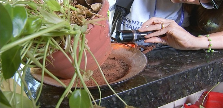 Imóveis focos de aedes aegypti campos rj