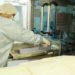 Serão processadas cerca de 400 mil doses de pré-validação