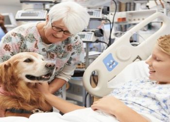 Animais de estimação em unidades de saúde Alerj aprova projeto de lei
