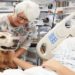 Animais de estimação em unidades de saúde Alerj aprova projeto de lei