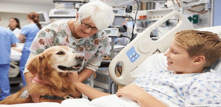 Animais de estimação em unidades de saúde Alerj aprova projeto de lei