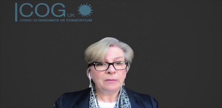cientista Sharon Peacock, chefe do programa de vigilância genética Covid-19 Genomics UK