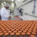 O primeiro carregamento com 90 litros de insumos para a produção da vacina da AstraZeneca contra a covid-19 no Brasil chegou da China neste sábado