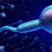 pesquisa de Swan sugere que a contagem de espermatozoides pode chegar a zero até 2045