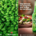 Marca de cerveja pede dia sem carne, gera reação negativa no agro e depois recua