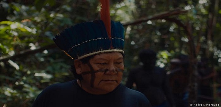 A Ultima Floresta Documentario
