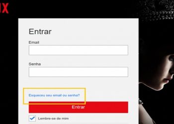 Senha netflix