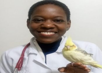 Especialista em animais exóticos estava dando aula para grupo de estudos da Unesp de Botucatu (SP) quando foi interrompida pelo ato.