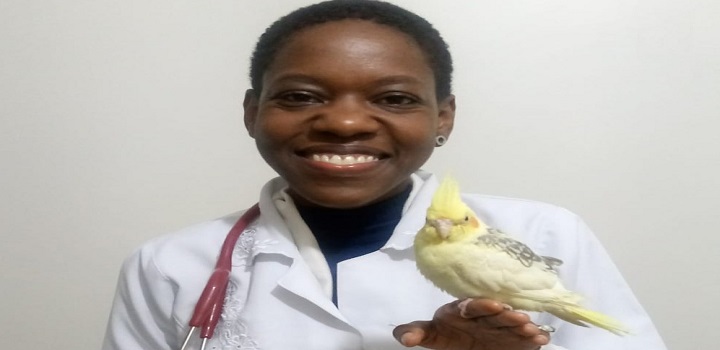 Especialista em animais exóticos estava dando aula para grupo de estudos da Unesp de Botucatu (SP) quando foi interrompida pelo ato.