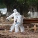 Velocidade da pandemia no Brasil