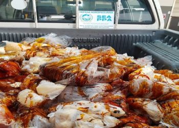 Alimentos impróprios no Farol de São Thomé