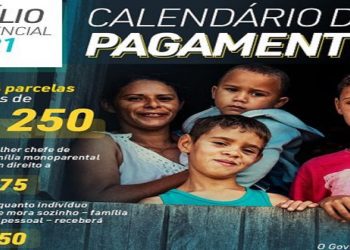 Consulta al Auxilio Emergencial 2021