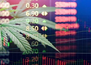 XP fundo de investimentos cannabis