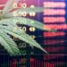 XP fundo de investimentos cannabis