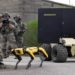 Cão-robô da Boston Dynamics faz teste de combate com exército francês