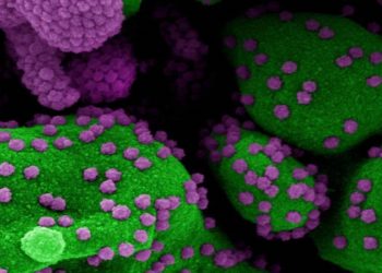 Covid-febre viral