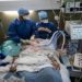 situação dramática de pacientes que vivem dor insuportável com intubação sem sedativos