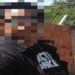 Justiça decretou, nesta quarta-feira, a prisão preventiva das duas mulheres acusadas de agredir e torturar uma menina de 6 anos em Porto Real,