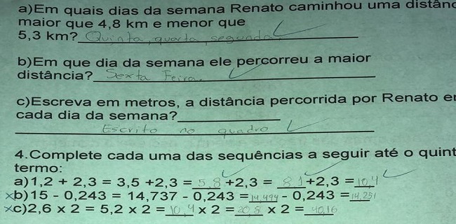 Avaliação aplicada pela família de Laura no homeschooling — Foto: Arquivo pessoal