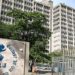 Lei 6.901/14, que aborda a contratação temporária, foi alterada, incluindo a possibilidade desse tipo de contratação para gerenciamento, acompanhamento e execução de projetos de pesquisa e extensão.