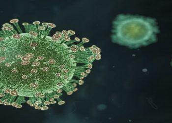 Variantes do coronavírus podem ser mais transmissíveis que as versões anteriores do Sars-CoV-2