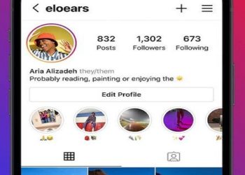 Instagram pronomes nos perfis