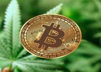 Polícia estoura roubo de bitcoins na Inglaterra