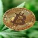 Polícia estoura roubo de bitcoins na Inglaterra