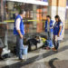 Mortalidade infantil na cidade de Campos dos Goytacazes-RJ