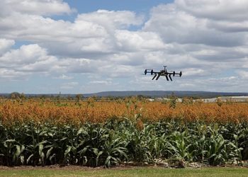 A expansão das gigantes da tecnologia pelo campo acontece por meio das antigas empresas de agro, Sygenta, Bayer e Basf