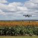 A expansão das gigantes da tecnologia pelo campo acontece por meio das antigas empresas de agro, Sygenta, Bayer e Basf