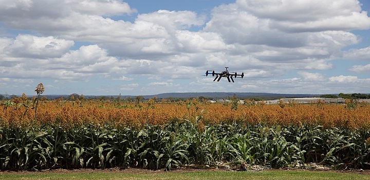 A expansão das gigantes da tecnologia pelo campo acontece por meio das antigas empresas de agro, Sygenta, Bayer e Basf