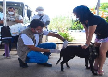 Ação acontece das 8h às 13h, na principal praça da localidade. Um veterinário estará aplicando a vacina nos pets e orientando os tutores quanto a alimentação adequada, banho e tosa.