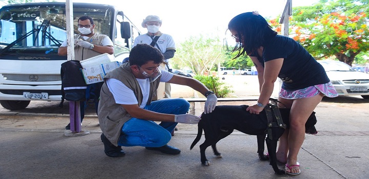Ação acontece das 8h às 13h, na principal praça da localidade. Um veterinário estará aplicando a vacina nos pets e orientando os tutores quanto a alimentação adequada, banho e tosa.