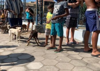 vacina contra a raiva em campos