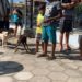 vacina contra a raiva em campos