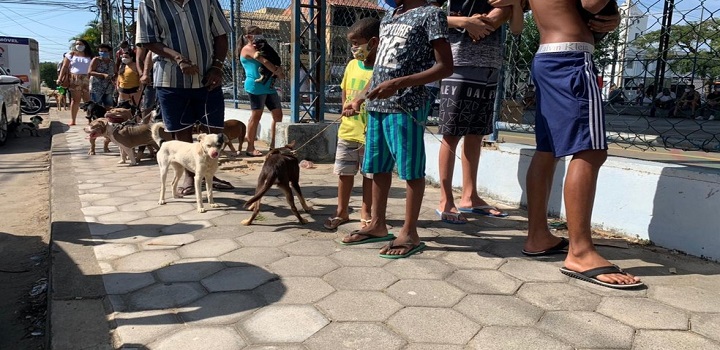 vacina contra a raiva em campos