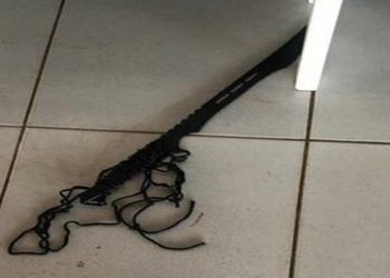 Arma ninja SC