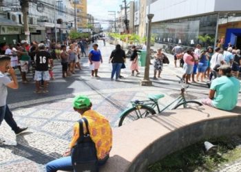 Campos fase amarela
