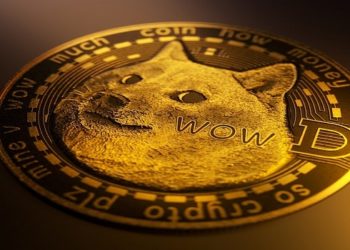Brasileiro milionário com dogecoin