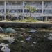 Universidades federais em colapso