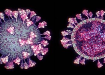 Nova variante do novo coronavírus é identificada no estado do Rio
