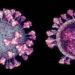 Nova variante do novo coronavírus é identificada no estado do Rio