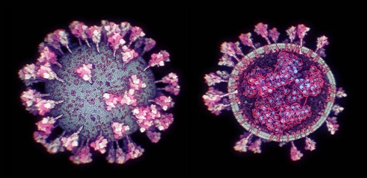 Nova variante do novo coronavírus é identificada no estado do Rio