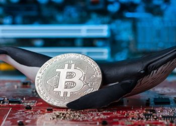 Baleia: criptomoedas paradas na carteira valorizaram 265.000% em nove anos