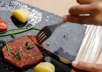 Novameat planeja vender seus bifes diretamente aos consumidores e empresas como restaurantes interessados em produtos baseados em plantas